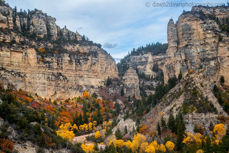 Fall colors have arrived in Cedar Canyon in Southern Utah.