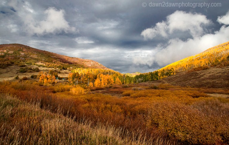 Fall colors have arrived at the Kolob Plateau in Southern Utah.