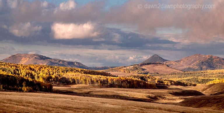 Fall colors have arrived at the Kolob Plateau in Southern Utah.