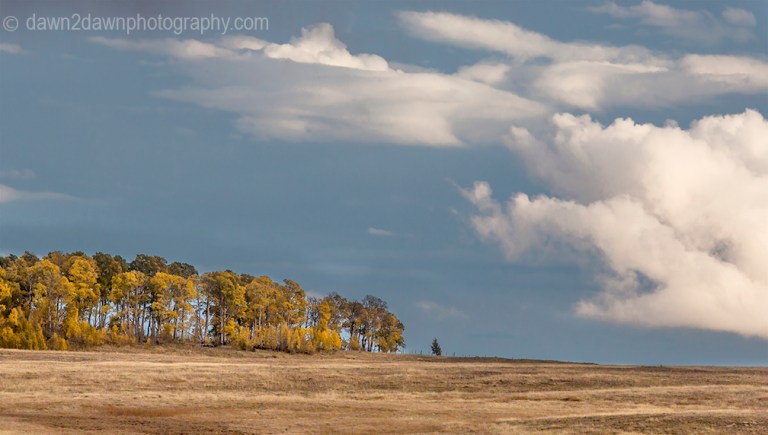 Fall colors have arrived at the Kolob Plateau in Southern Utah.