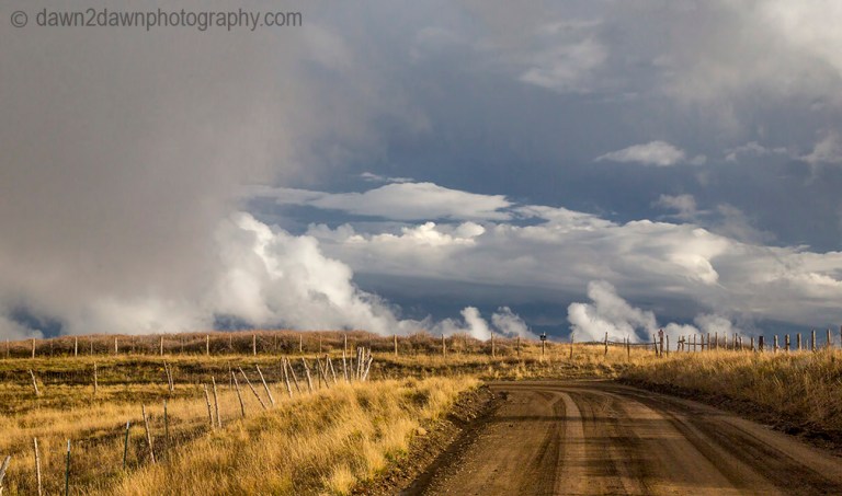 Fall colors have arrived at the Kolob Plateau in Southern Utah.