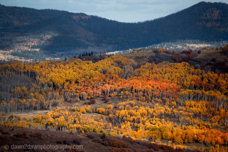 Fall colors have arrived in the highlands of Southern Utah.