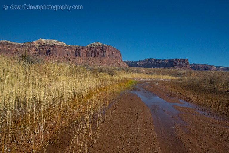 canyonlands-lavendar_6204