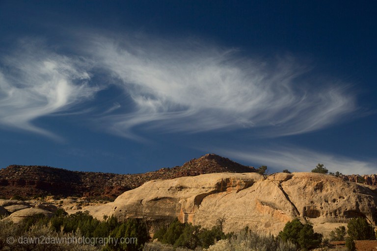 canyonlands-lavendar_6228