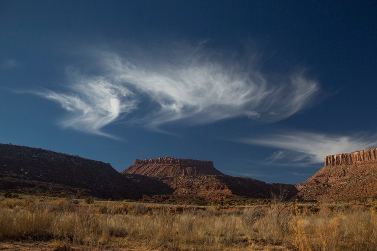 canyonlands-lavendar_6232