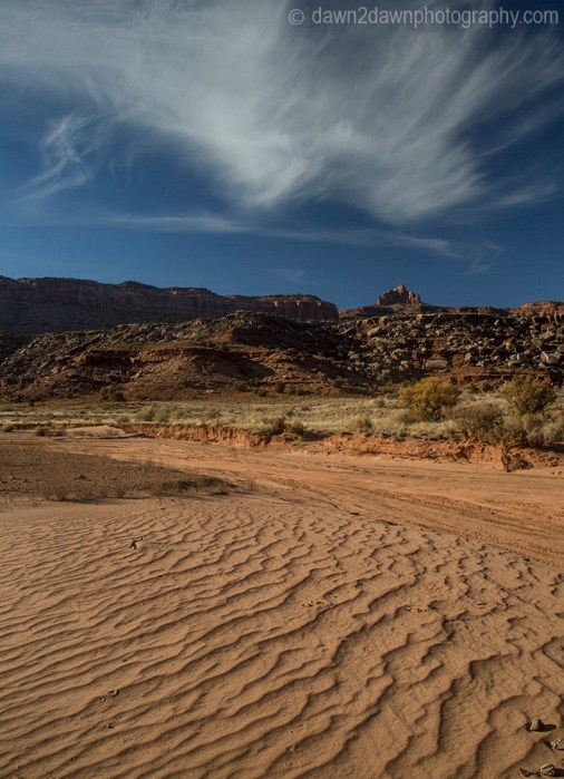canyonlands-lavendar_6250