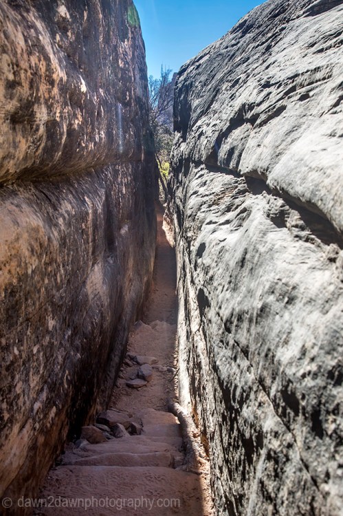 canyonlands-needles_6391