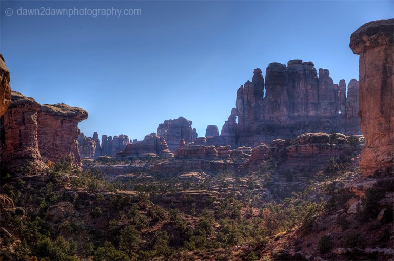 Unusually shaped and colored rock formations make up the landscape at the Needles District at Canyonlands National Park, Utah