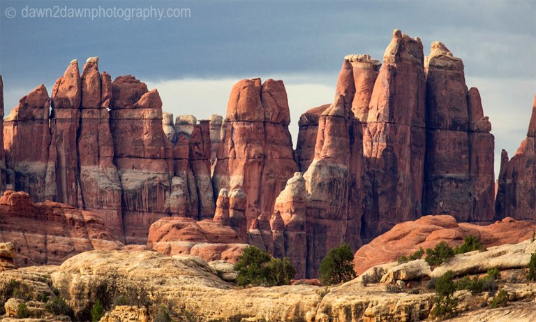 Unusually shaped and colored rock formations make up the landscape at the Needles District at Canyonlands National Park, Utah