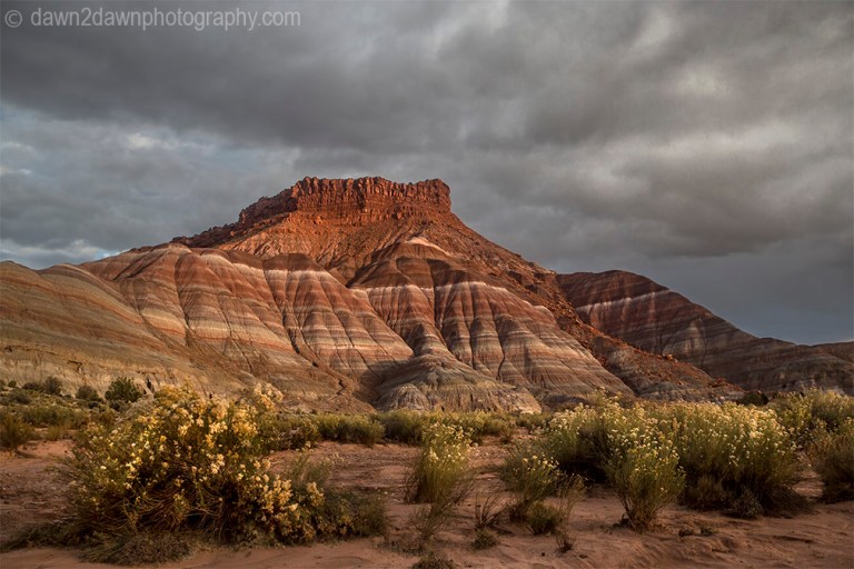 Colorful clay beds of the Chinle Formation are revealed due to erosion at the The Grand Staircase Escalante National Monument, Utah