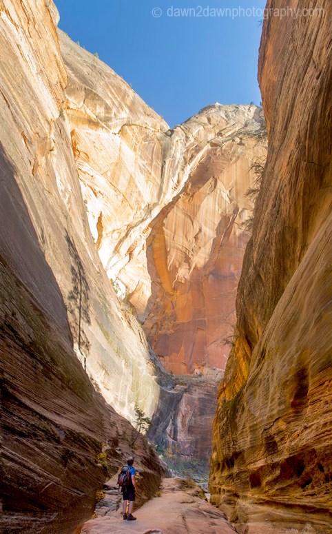 Fall colors have arrived at Echo Canyon at Zion National Park, Utah