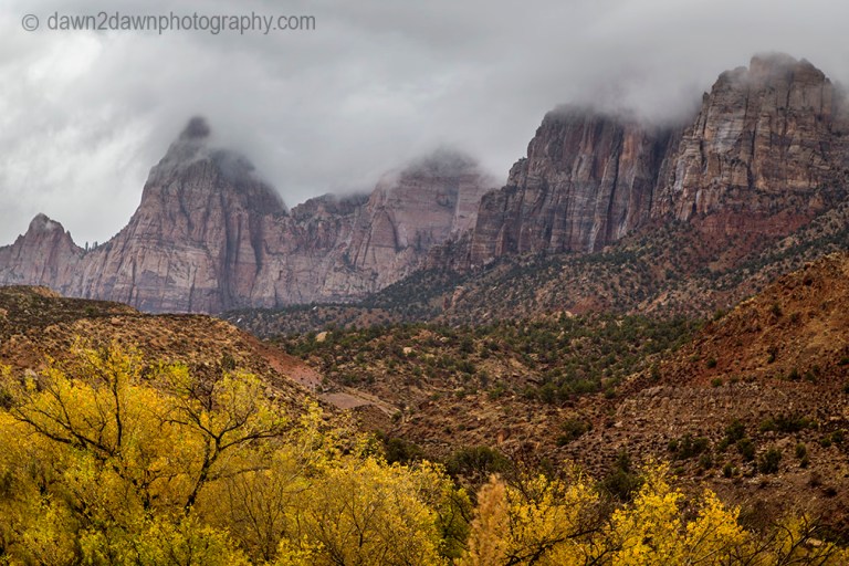 Fall colors have arrived at Zion Canyon at Zion National Park, Utah