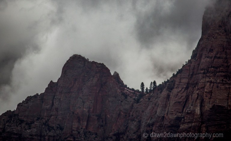 A passing rain storm produces thick clouds and fog at Zion National Park, Utah