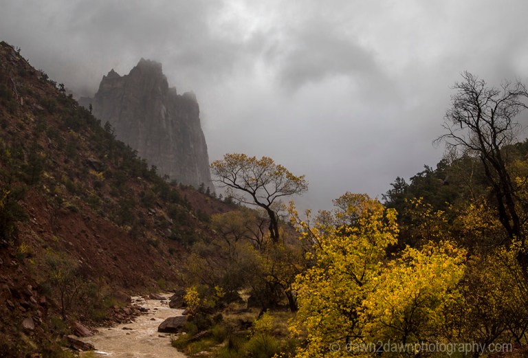 A passing rain storm produces thick clouds and fog at Zion National Park, Utah