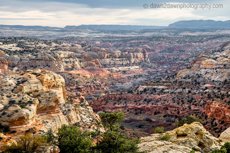 Unusual sandstone rock formations are seen along Utah's rural Highway 12.