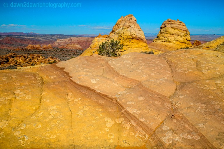 Unusually shaped and colored rock formations make up the landscape at South Coyote Buttes at Vermilion Cliffs National Monument, Arizona