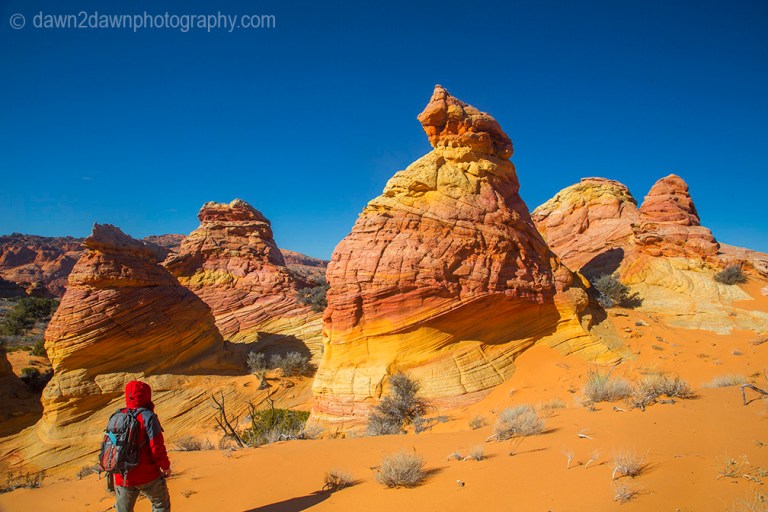 Unusually shaped and colored rock formations make up the landscape at South Coyote Buttes at Vermilion Cliffs National Monument, Arizona