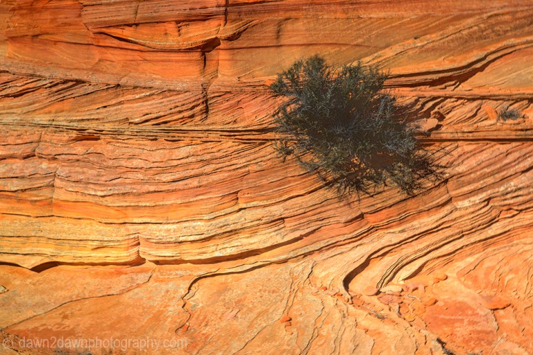 Unusually shaped and colored rock formations make up the landscape at South Coyote Buttes at Vermilion Cliffs National Monument, Arizona