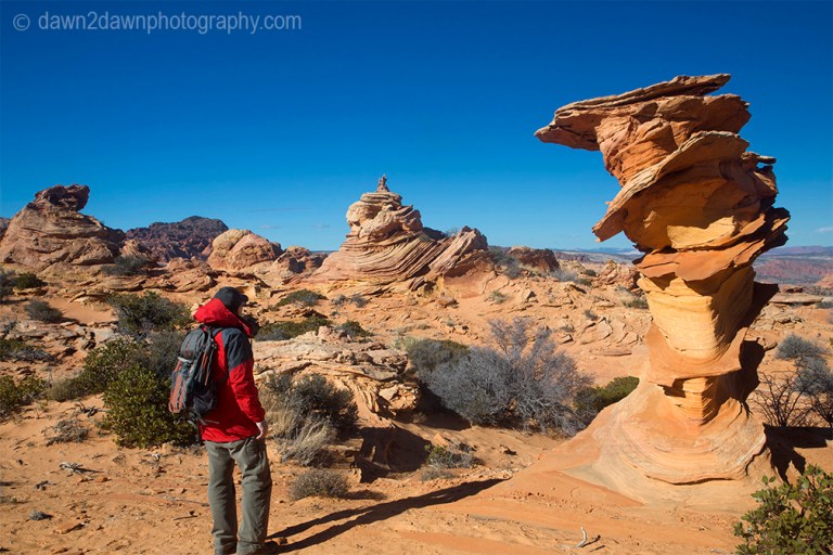 Unusually shaped and colored rock formations make up the landscape at South Coyote Buttes at Vermilion Cliffs National Monument, Arizona