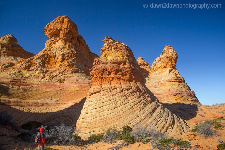 Unusually shaped and colored rock formations make up the landscape at South Coyote Buttes at Vermilion Cliffs National Monument, Arizona