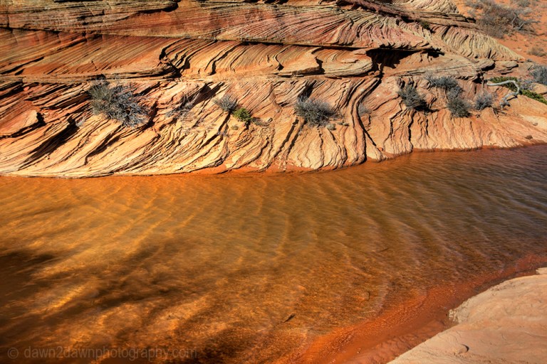 Unusually shaped and colored rock formations make up the landscape at South Coyote Buttes at Vermilion Cliffs National Monument, Arizona