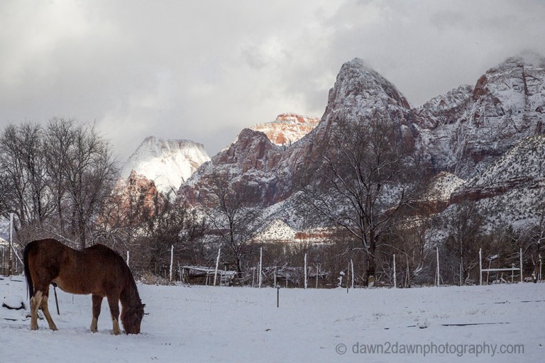 Fresh snow blankets Zion National Park on Christmas morning.