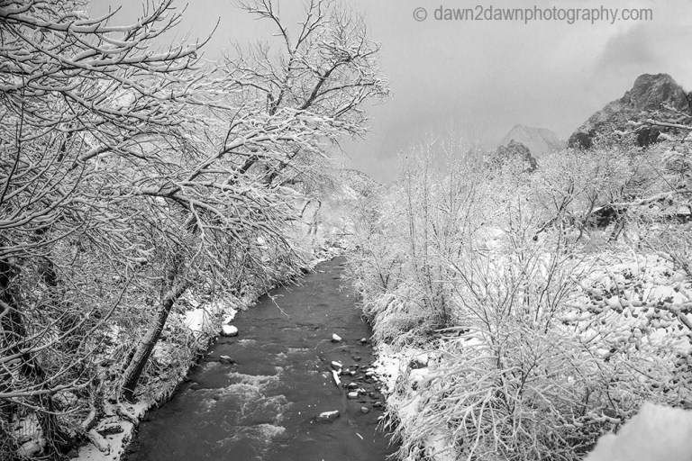 Fresh snow blankets Zion National Park on Christmas morning.
