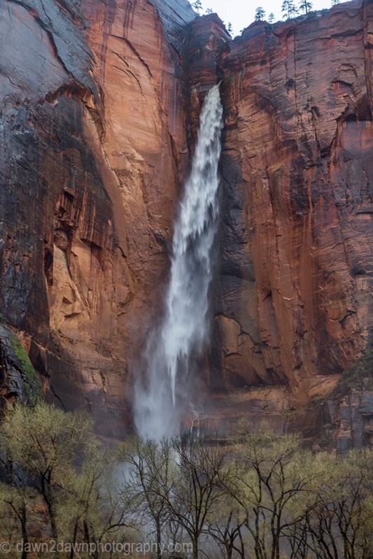 Heavy rains have produced ephemeral waterfalls at Zion National Park, Utah