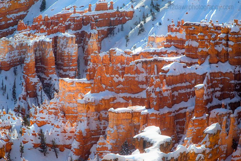 Bryce Canyon Winter