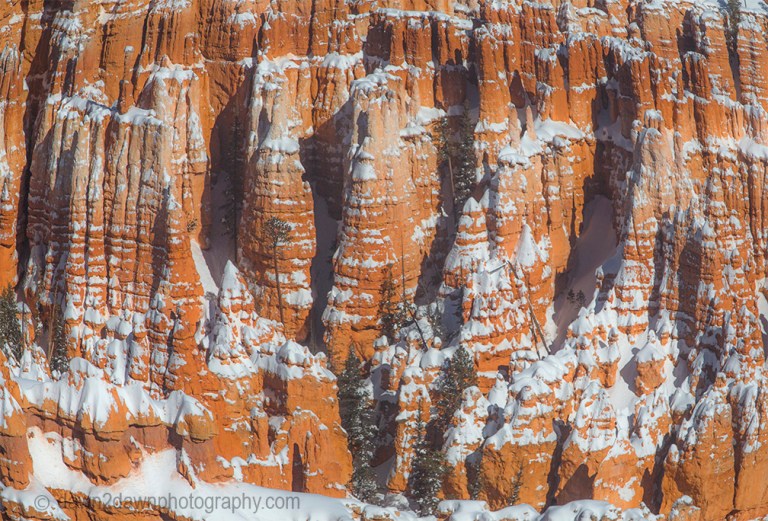 Fresh snow blankets Bryce Canyon National Park, Utah
