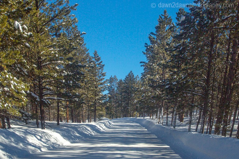 Fresh snow blankets Bryce Canyon National Park, Utah