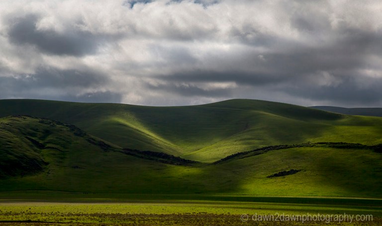 Recent rains have greened up the hills and pastureland in rural California.
