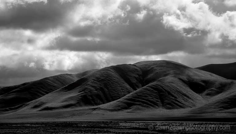 Recent rains have produced new growth in the hills and pastureland in rural California.