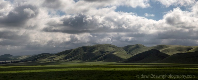Recent rains have greened up the hills and pastureland in rural California.