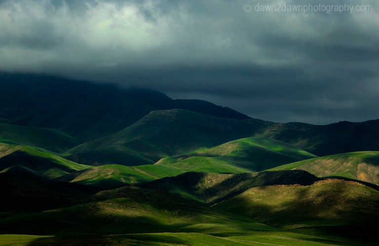 Recent rains have greened up the hills and pastureland in rural California.