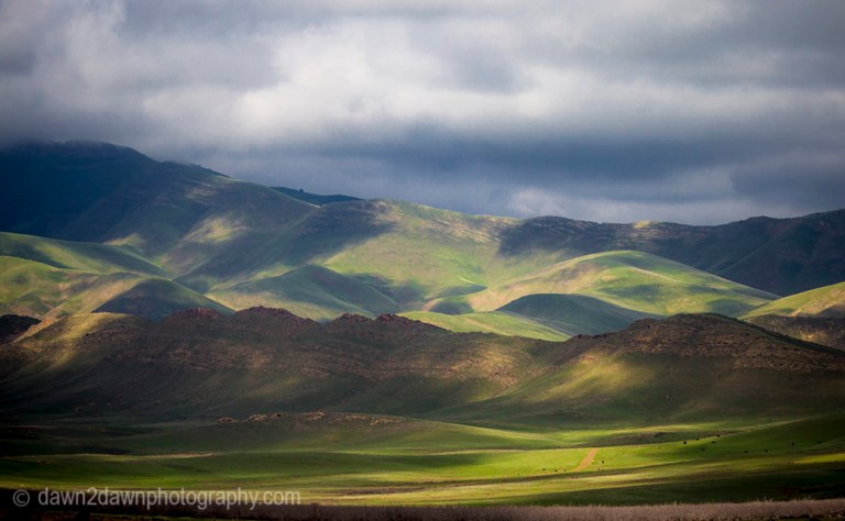 Recent rains have greened up the hills and pastureland in rural California.