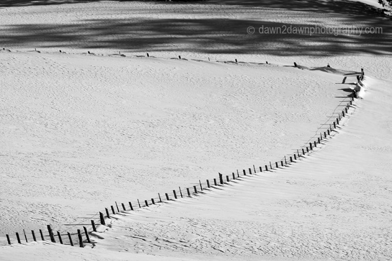 Fresh snow blankets Bryce Canyon National Park, Utah