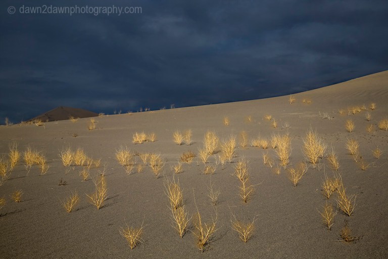 The shapes and lines at Eureka Dunes at Death Valley National Park, California