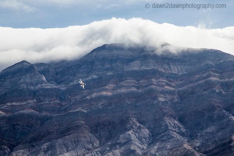 A fighter jet from nearby China Lake Naval Air Warfare Center flies over Death Valley National Park, California
