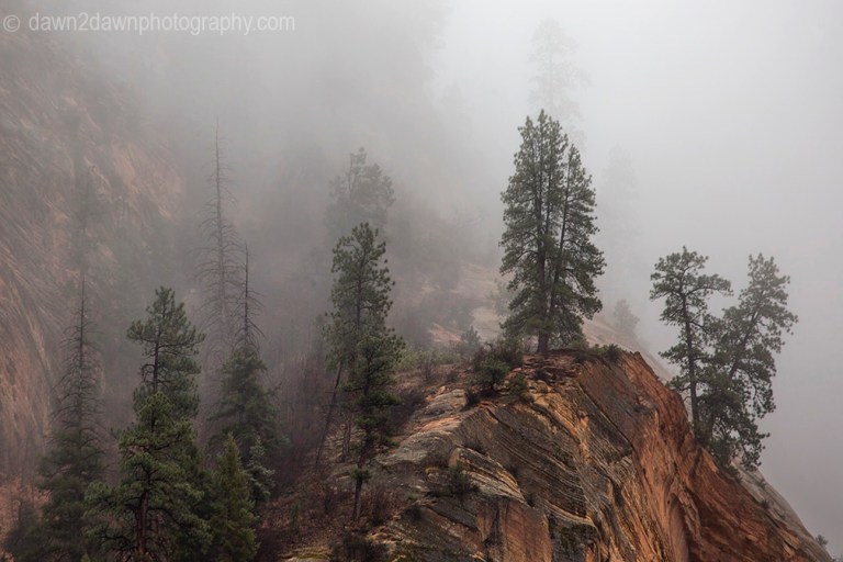 Stormy Zion National Park