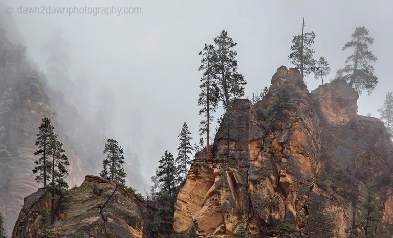Stormy Zion National Park
