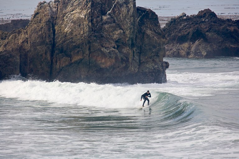 Let’s Go Surfing Now……..Or Maybe Not