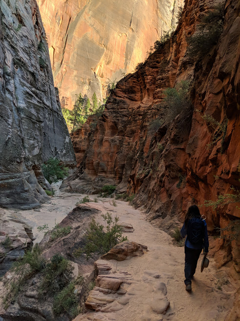 Zion’s Observation Point Trail