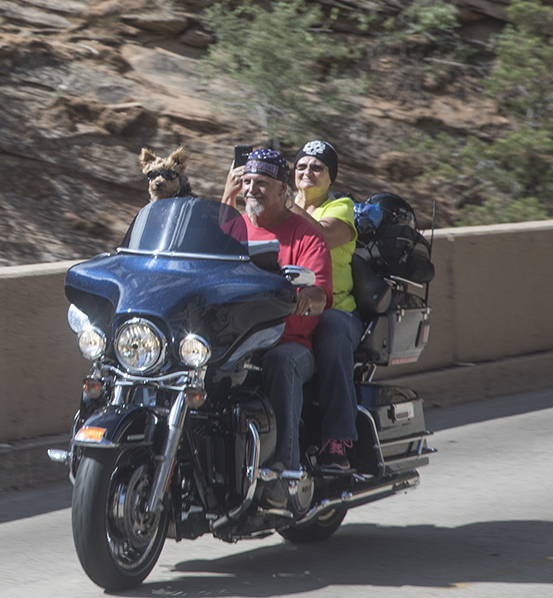 The Zion Mt. Carmel Tunnel