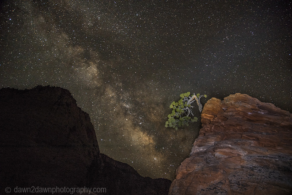 Some More Zion Milky Way Images