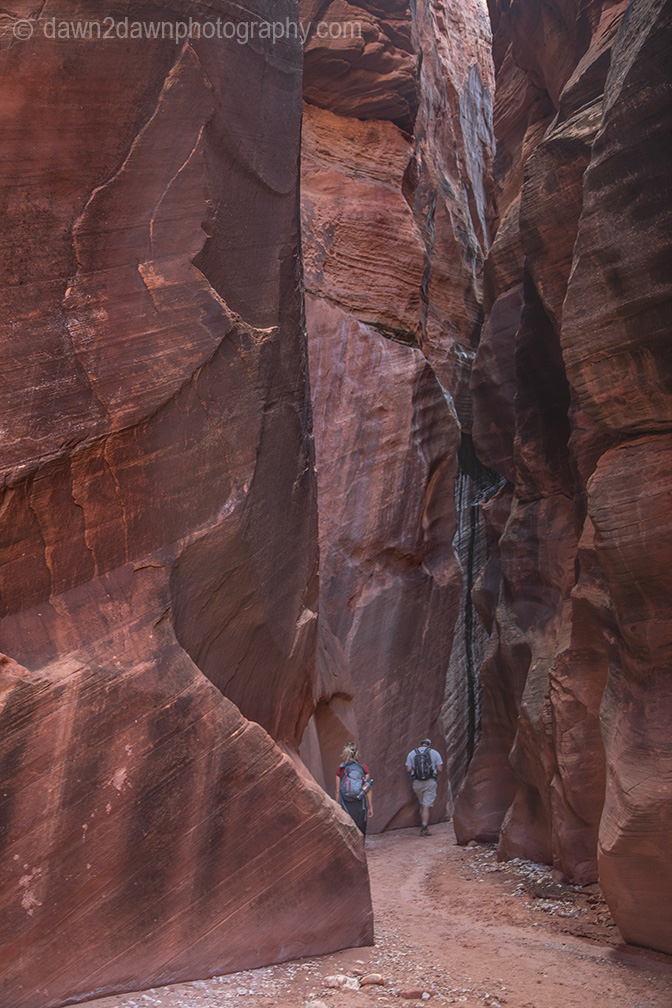 Wire Pass- Barely Passable