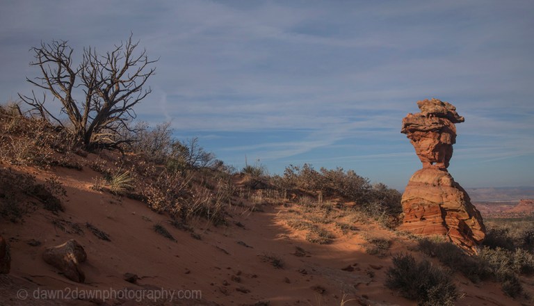 South Coyote Buttes