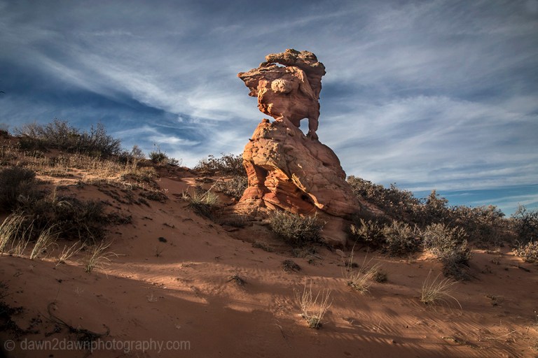 South Coyote Buttes
