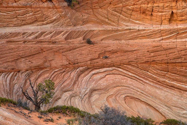 South Coyote Buttes