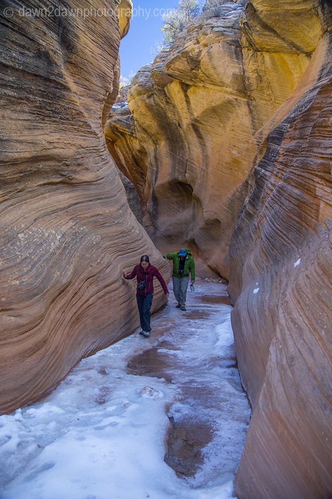 A Frozen Willis Creek